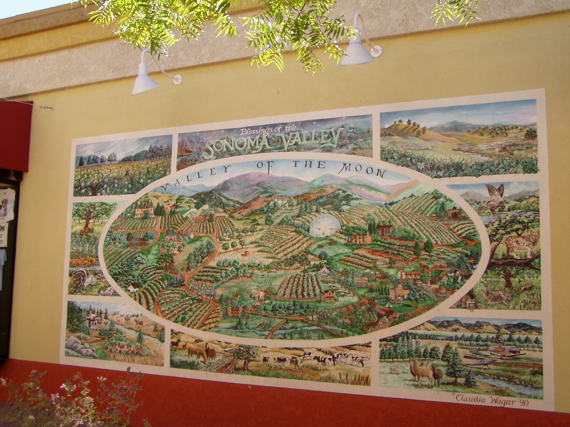 Sonoma